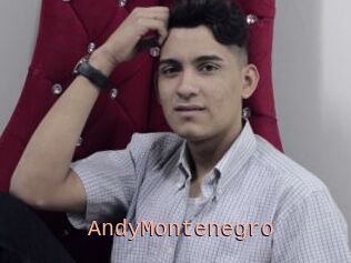 AndyMontenegro