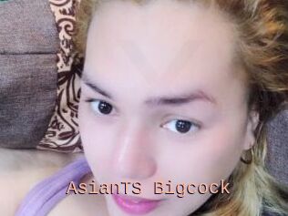 AsianTS_Bigcock