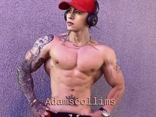 Adamscollims