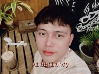 Aidenlandy