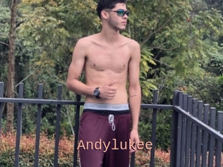 Andylukee