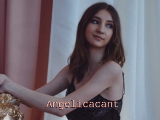 Angelicacant