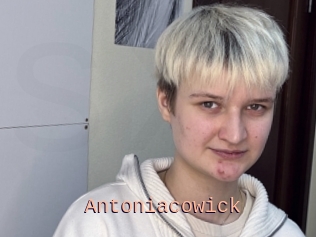 Antoniacowick