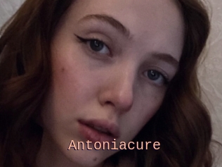 Antoniacure