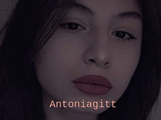 Antoniagitt