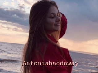 Antoniahaddaway