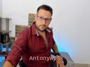 Antonywesk