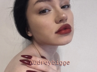 Audreybigge