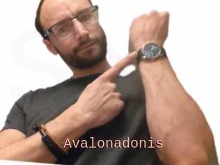 Avalonadonis