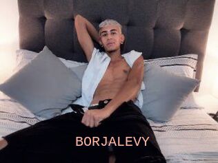 BORJALEVY