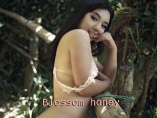 Blossom_honey