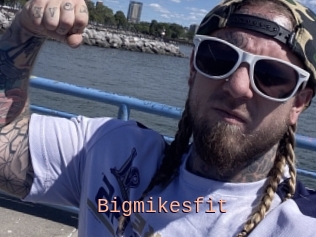 Bigmikesfit