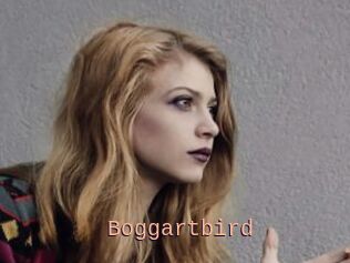 Boggartbird