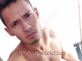 Boybig_dick22cm