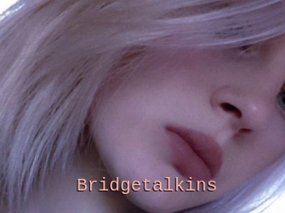 Bridgetalkins