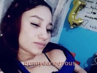 Bunnydangerous