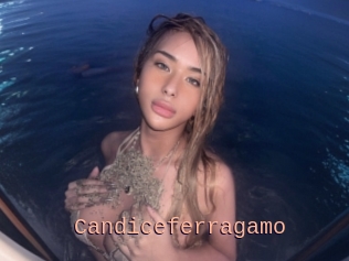 Candiceferragamo