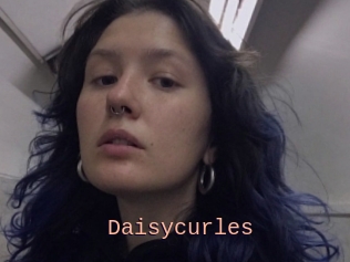 Daisycurles