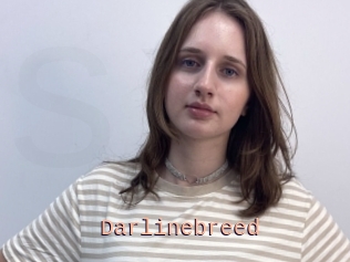 Darlinebreed