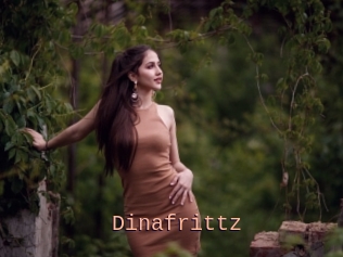 Dinafrittz