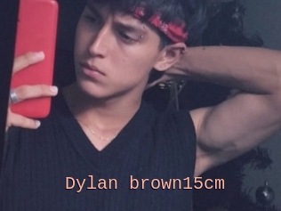 Dylan_brown15cm