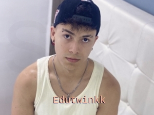 Edutwinkk