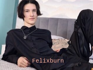 Felixburn