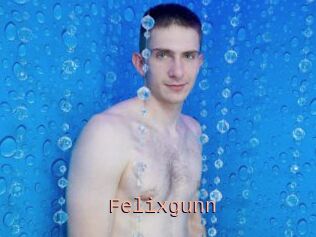 Felixgunn