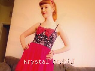 Krystal_Orchid