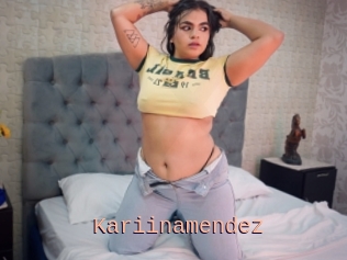 Kariinamendez