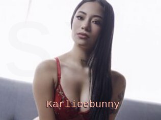 Karlieebunny