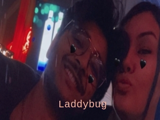 Laddybug