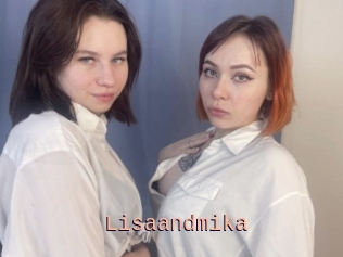 Lisaandmika