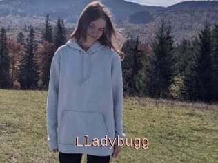 Lladybugg