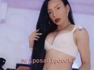 MriposaBigcock7