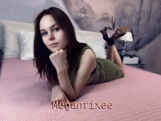 Meganfixee