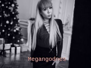 Megangodnes