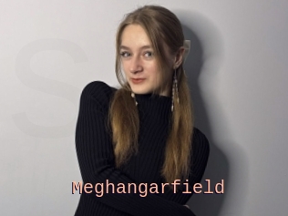 Meghangarfield