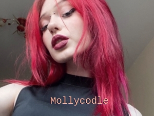 Mollycodle