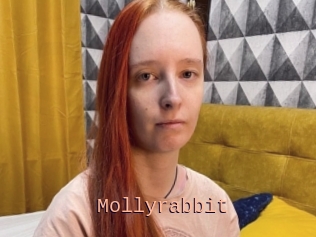 Mollyrabbit