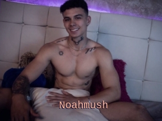 Noahmush