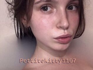 Pettitekitty1107