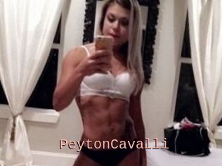 Peyton_Cavalli