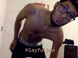 PlayfulJoe