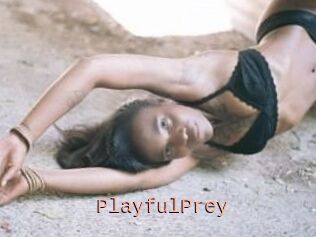 PlayfulPrey