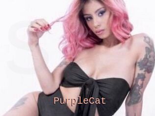 PurpleCat