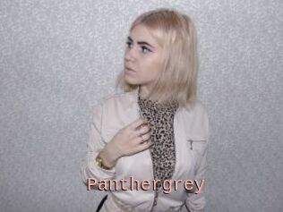 Panthergrey