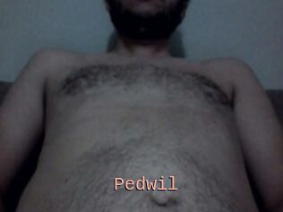 Pedwil