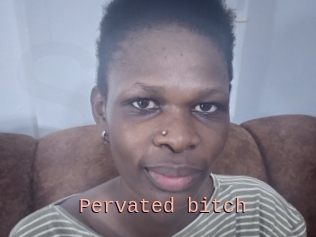 Pervated_bitch