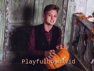 Playfulboydavid